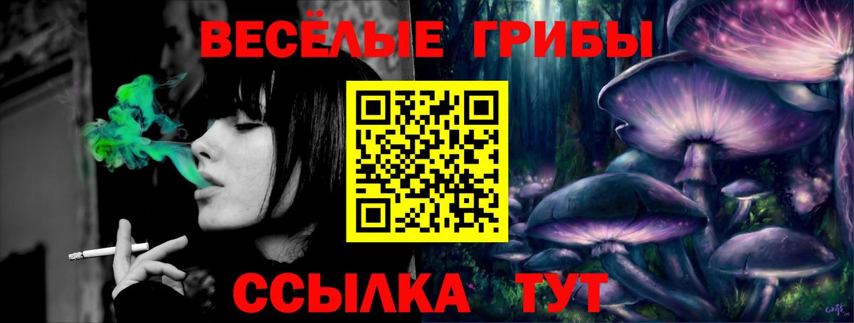 Псилоцибиновые грибы GOLDEN TEACHER  Вход с VPN  Наро-Фоминск 